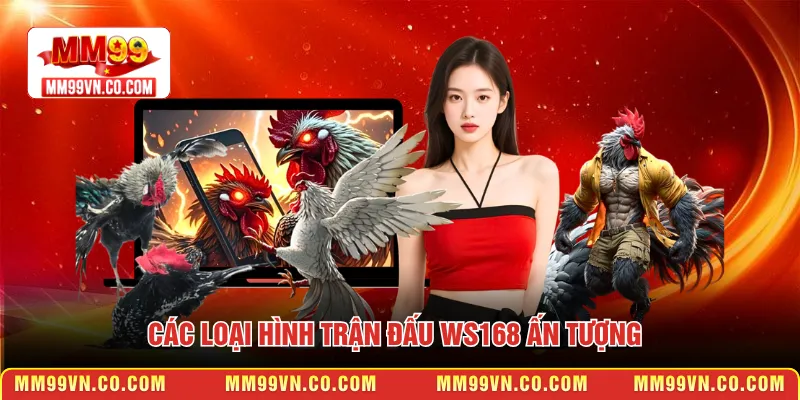 Các loại hình trận đấu WS168 ấn tượng