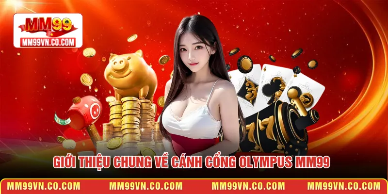 Giới thiệu chung về cánh cổng Olympus MM99