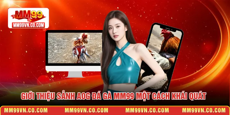 Giới thiệu sảnh AOG đá gà MM99 một cách khái quát