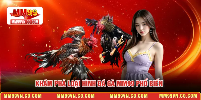 Khám phá loại hình đá gà MM99 phổ biến