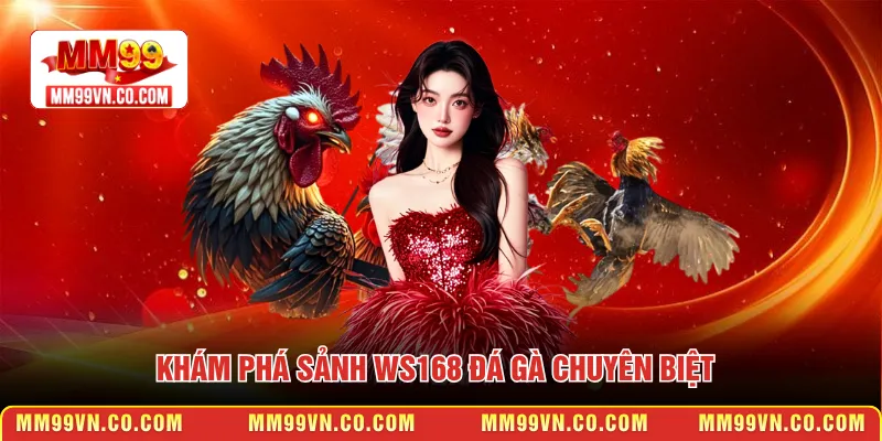 Khám phá sảnh WS168 đá gà chuyên biệt