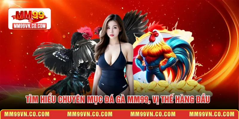 Tìm hiểu chuyên mục đá gà MM99, vị thế hàng đầu